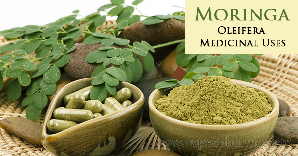 Moringa oleifera medicinal uses